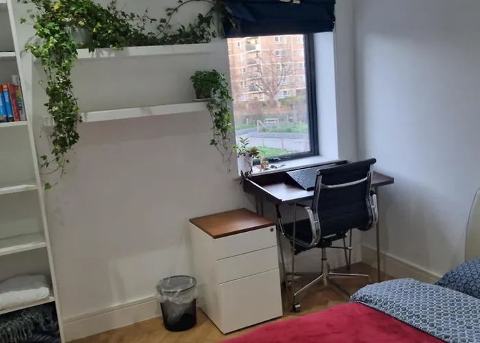 Bright Spacious Apartment In The Park